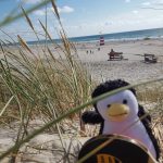 Die große Reise des kleinen Pingponguin - sundern, region-arnsberg-sundern, arnsberg