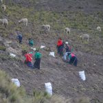 Dräulzer Platt in Ecuador - region, drolshagen